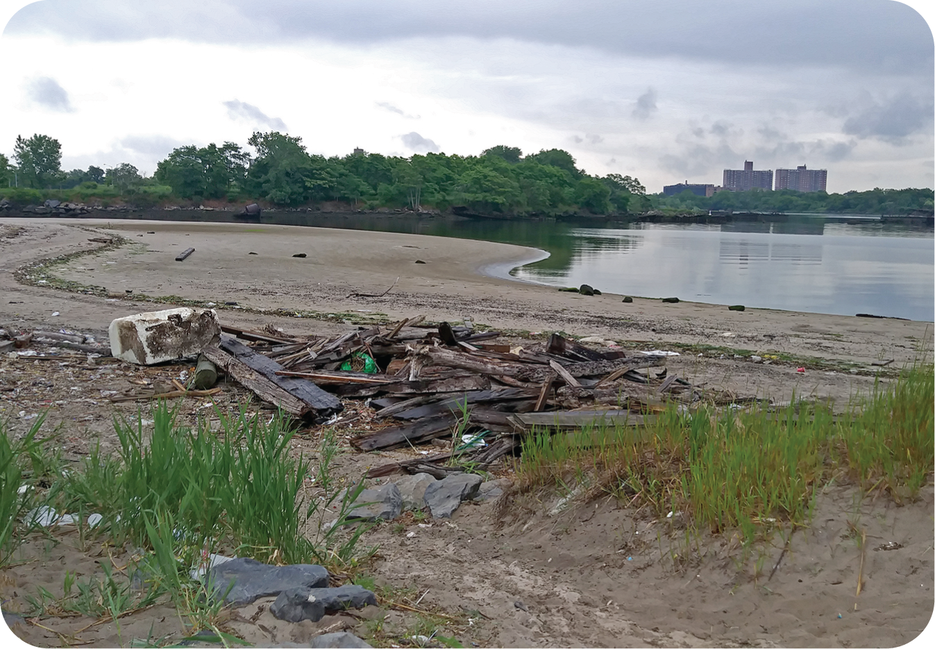 Beach Trash Photo